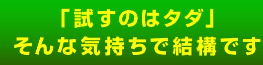 阿部辰巳_試すのはタダ