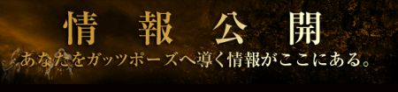 プレミアム_情報公開