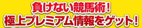 プレミアム_負けない馬券術