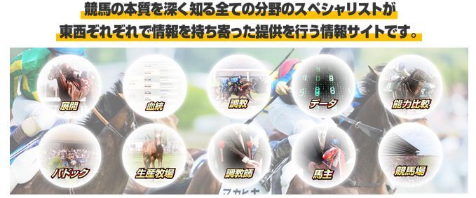 競馬トップチーム_要素