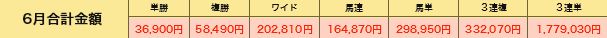 競馬楽しみ隊_的中実績2019年6月