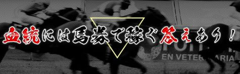 血統シックス_血統馬券で稼ぐ