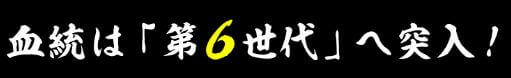 血統シックス_第6世代へ