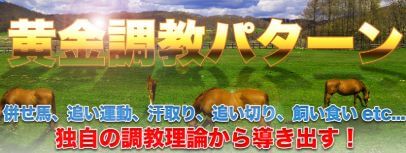 令和ケイバ_調教パターン