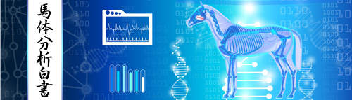 うまスタ_馬体分析白書