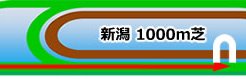 新潟1000ｍ