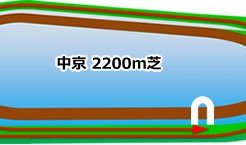 中京競馬場_芝2200ｍ