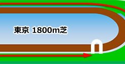 東京芝1800ｍ