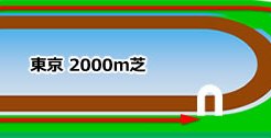 東京競馬場＿芝2000m