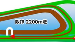 阪神競馬場(芝2200ｍ/右内)