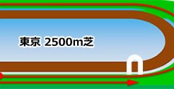 東京競馬場＿芝2500m