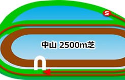 中山競馬場_芝2500M